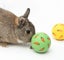 Hamster Snack Ball, Small Animal Snack Ball$rabbit Leaking Food Ball Anti-boring Carousel 3