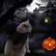 Bran Pet Cat Bat Wings For Halloween Party Decoration, Puppy Collar Leads Cospla Carousel 4