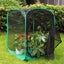 Bran Insect And Butterfly Living Space Cage Terrarium Pop-up Protection Cage Carousel 4