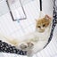 Bran Hanging Cat Hammock, Pet Hammock For Cage, Adjustable Cat Bed Two Sides Com Carousel 4