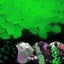 Bran Luminaires 200 Colorful, Bright Flourescent Pebble Stones For Aquarium Gard Carousel 3