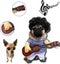 Pet Guitar Costume Dog Costumes Cat Halloween Christmas Cosplay Party Funny Outf Carousel 4