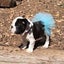 Bran Pet Dog Cat Costume Tutu Outfit Animal Party Tulle Skirt Clothing Carousel 3