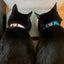 Bran Cat Collar With Safety Belt And Bell 24-30cm, Gift For Valentine's Day Carousel 4