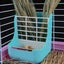 Bran Rabbit Feed Station For Rabbits, Guinea Pigs, Hay, Feed Basket, Hay And Fee Carousel 4