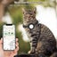 Airtag Cat Collar With Bells, Airtag Pet Collar With Waterproof Airtag Stand And Carousel 4