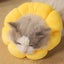 Elizabeth Collar For Cats And Puppies After Pet Collar Surgery Carousel 3