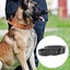 Doug Club | Leather Heavy Tactical Dog Collar With Handle | Saddle, Full Grain, Carousel 3