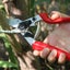 Pruning Shears - Bypass Pruner Garden Shears,tree Trimmerhand Secateurs Ergonomi Carousel 5