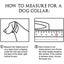 The Power Of An All-in-one Split Cat Collar With Personalized Options Carousel 4