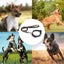 Dog Collar Reflective Soft Comfort Strap Safety Adjustable Waterproof Nylon, Carousel 5