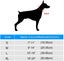 Inflatable Dog Cone Collar For Post-op Care, Carousel 4