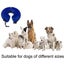 Inflatable Dog Cone Collar For Post-op Care, Carousel 5