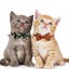 Halloween Cat Collar Breakaway With Bow Tie Bell, 2 Pack Adjustable Kitten Colla Carousel 4