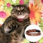 Leather Cat Collar Buckle Adjustable Small Pet Collar For Kitties Carousel 4