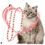 Loading Image 1 of 5