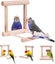 Loading Image 1 of 5