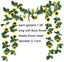 Loading Image 1 of 4