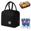 Lunch Bag,animal Frog Insulated Reusable Cooler Lunch Box Tote Bag Carousel 1