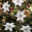 Loading Image 4 of 4
