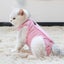 Cat Professional Recovery Suit For Abdominal Wounds Or Skin Diseases,e-collar Al Carousel 4