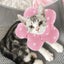 Cat Recovery Collar, Soft Pet Collar Adjustable Protective Wound Healing Collar Carousel 4
