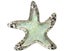 Snaps REDFOX - Blue Glitter Starfish Carousel 1