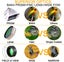 Monocular Telescope, 16x52 Hd Monocular With Holder &tripod For Smartphone,clear Carousel 4