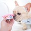 Pet Food Can Lids, Silicone Can Covers For Dog Cat Food, Universal Carousel 3