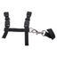 Cat Harness, Adjustable Nylon Strap Collar With Leash, Breakaway Carousel 1