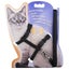 Cat Harness, Adjustable Nylon Strap Collar With Leash, Breakaway Carousel 2