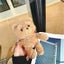 Fluffy Bear Airpods 1 & 2 Case, Cute Bear Soft Furry Kawaii Cover Case Carousel 4