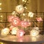 6M 40 LED Rose Lights Valentine Garland w/ Lights Battery Operated Pink Red Rose Carousel 7