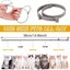 2 PCS Flea and Tick Collar (38cm) for Cat Carousel 3
