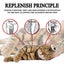 Dog Flea and Tick Collar 62cm, 8 Months Control Protection Carousel 5
