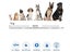 Dog Flea and Tick Collar 62cm, 8 Months Control Protection Carousel 4