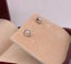 9ct White Gold 0.30ct TDW Diamond Stud Earrings ~ $2,200! Carousel 3