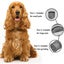 Usb Charging Low Noise Painless Pet Grooming Claw Trimmer for Small Medium an... Carousel 5