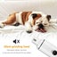 Usb Charging Low Noise Painless Pet Grooming Claw Trimmer for Small Medium an... Carousel 8