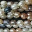 Beads - Pearls - Pearl 5.5x4.5mm 40cm MULTI - Set of 4 Carousel 1