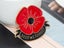 ANZAC Day Poppy Flower Brooches Lest We Forget Badges Red Enamel Clothing Pin Carousel 2