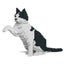Loading Image 1 of 2