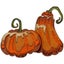 Loading Image 1 of 5
