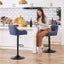 2pcs Vintage Bar Stools Set Carousel 13