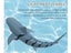 Remote Control Boat Electric Shark Simulation Toy Carousel 4