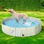 Goslash Picks 120cm Pet Dog Swimming Pool Cat Portable Bathtub Kid Shower Was... Carousel 7