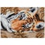 Dimensions Beguiling Tiger - Cross Stitch Kit Carousel 1