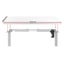 Electric Standing Desk Motorised Adjustable Sit Stand Desks White Carousel 3