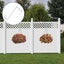 12 X Vinyl Fence Hooks, 2 X 6" (~5.2 X 15.2cm) Patio Hooks, White Powder Coated Carousel 4