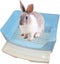 Loading Image 1 of 4